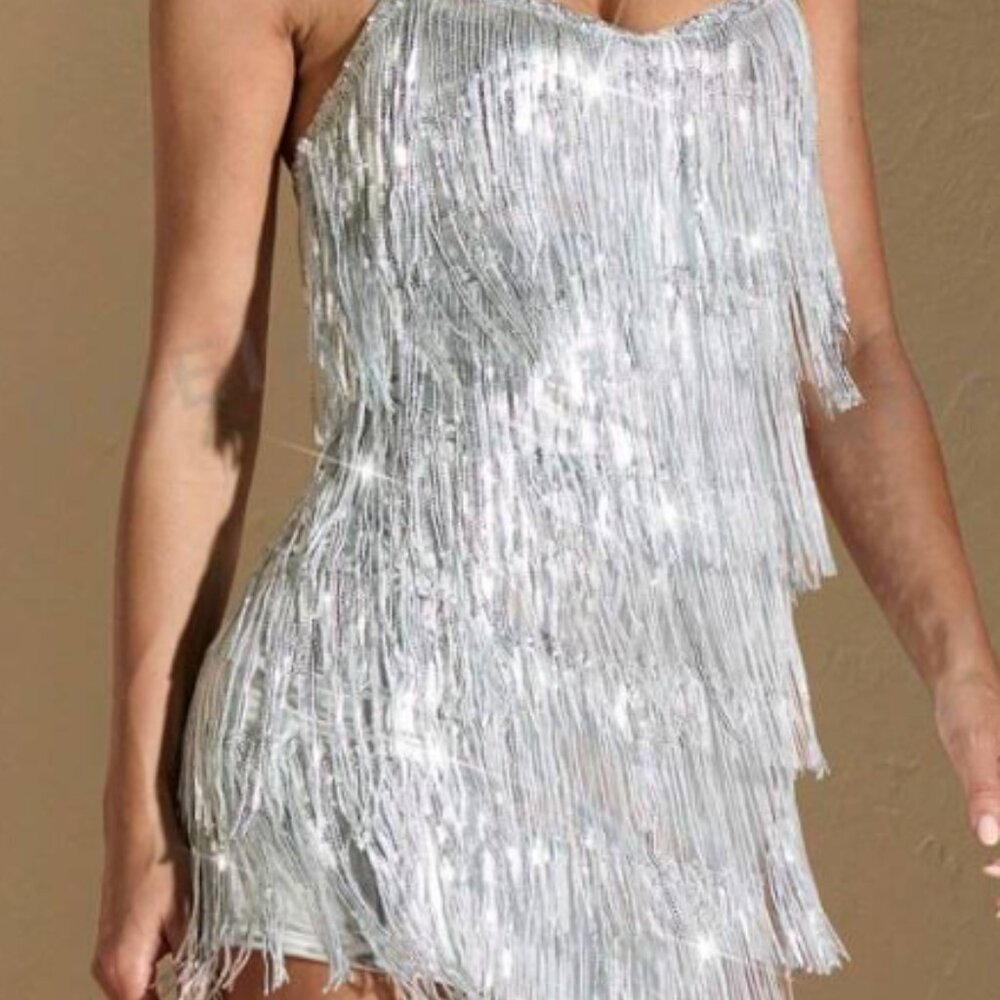 Mini Sequin / Fringe Dress